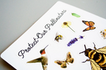 Polinator Pride Patch and Sticker Kit - andoveco