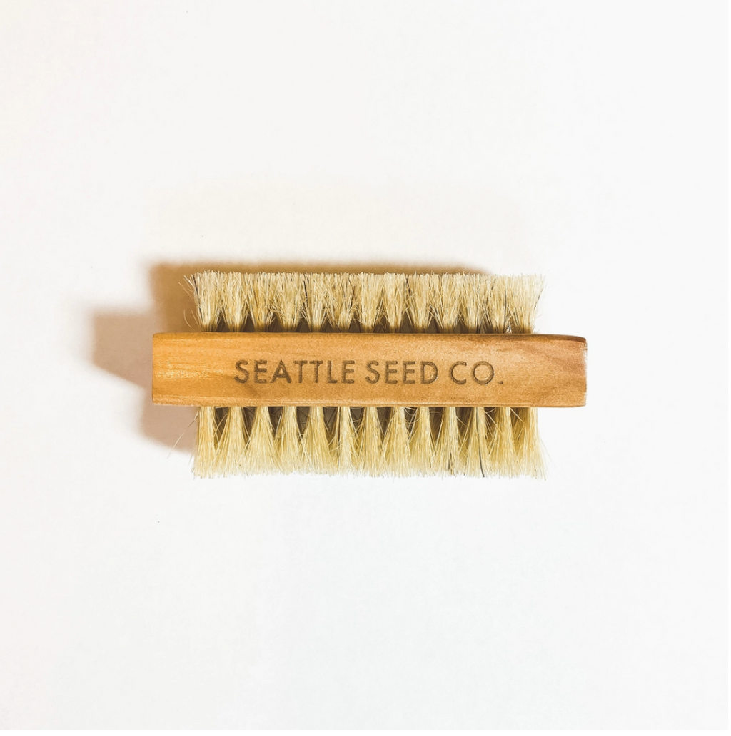 Vegetable and Nail Brush - andoveco
