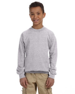 Youth Crewneck Sweater (all the design options) - andoveco